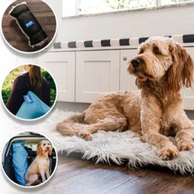 Paw Brands, PupRug™ Portable Orthopedic Dog Bed, Grey