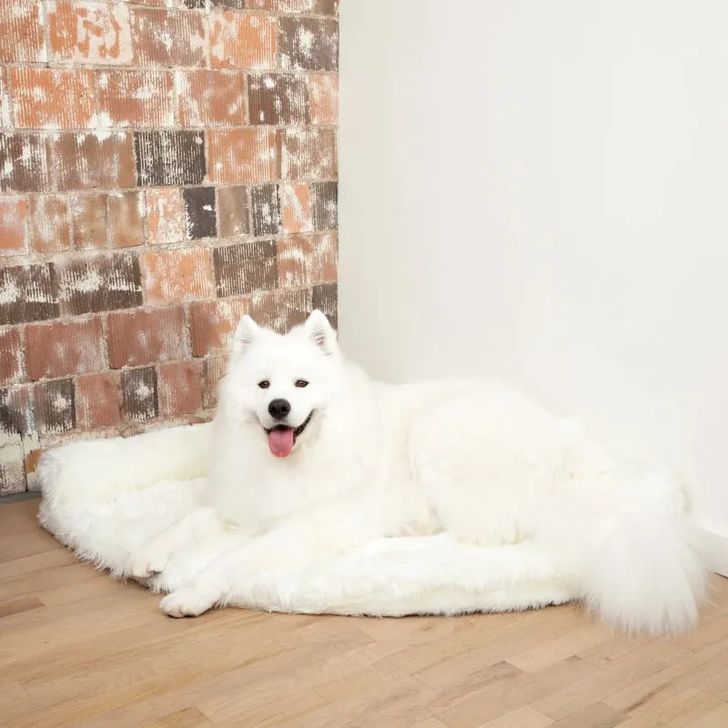Paw Brands, PupRug™ Space Saver Memory Foam Corner Dog Bed, Polar White