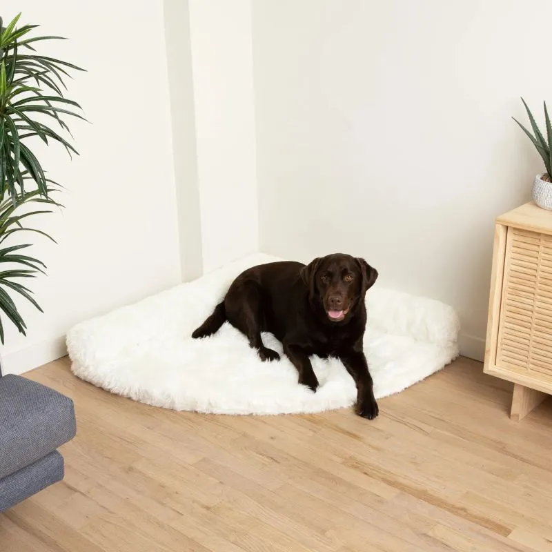 Paw Brands, PupRug™ Space Saver Memory Foam Corner Dog Bed, Polar White