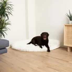 Paw Brands, PupRug™ Space Saver Memory Foam Corner Dog Bed, Polar White