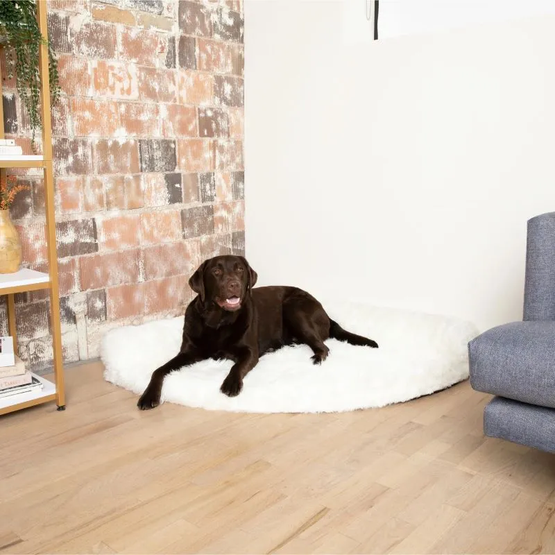 Paw Brands, PupRug™ Space Saver Memory Foam Corner Dog Bed, Polar White