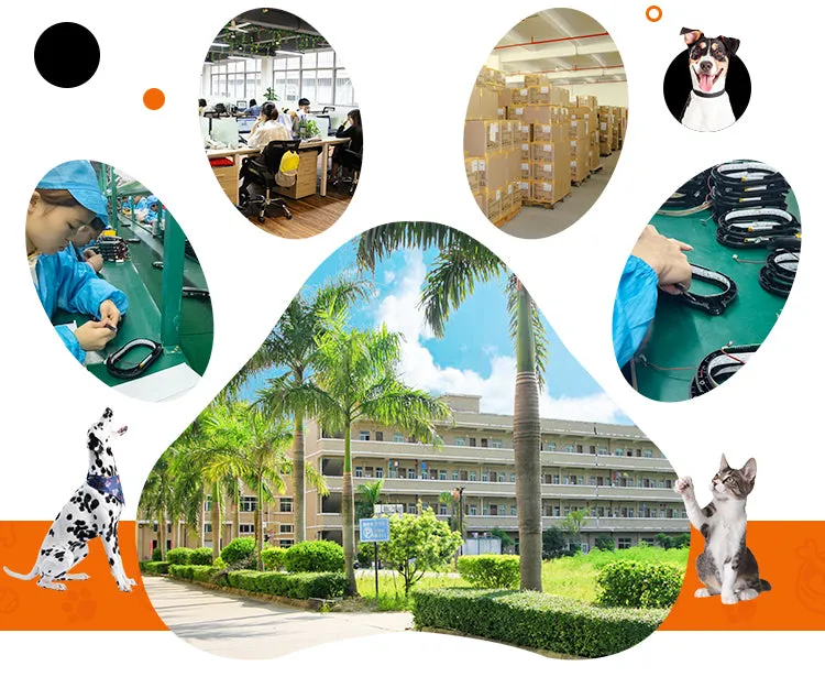 PAWS ASIA China Suppliers Best Selling Nylon Retractable Multi Function Dog Leash