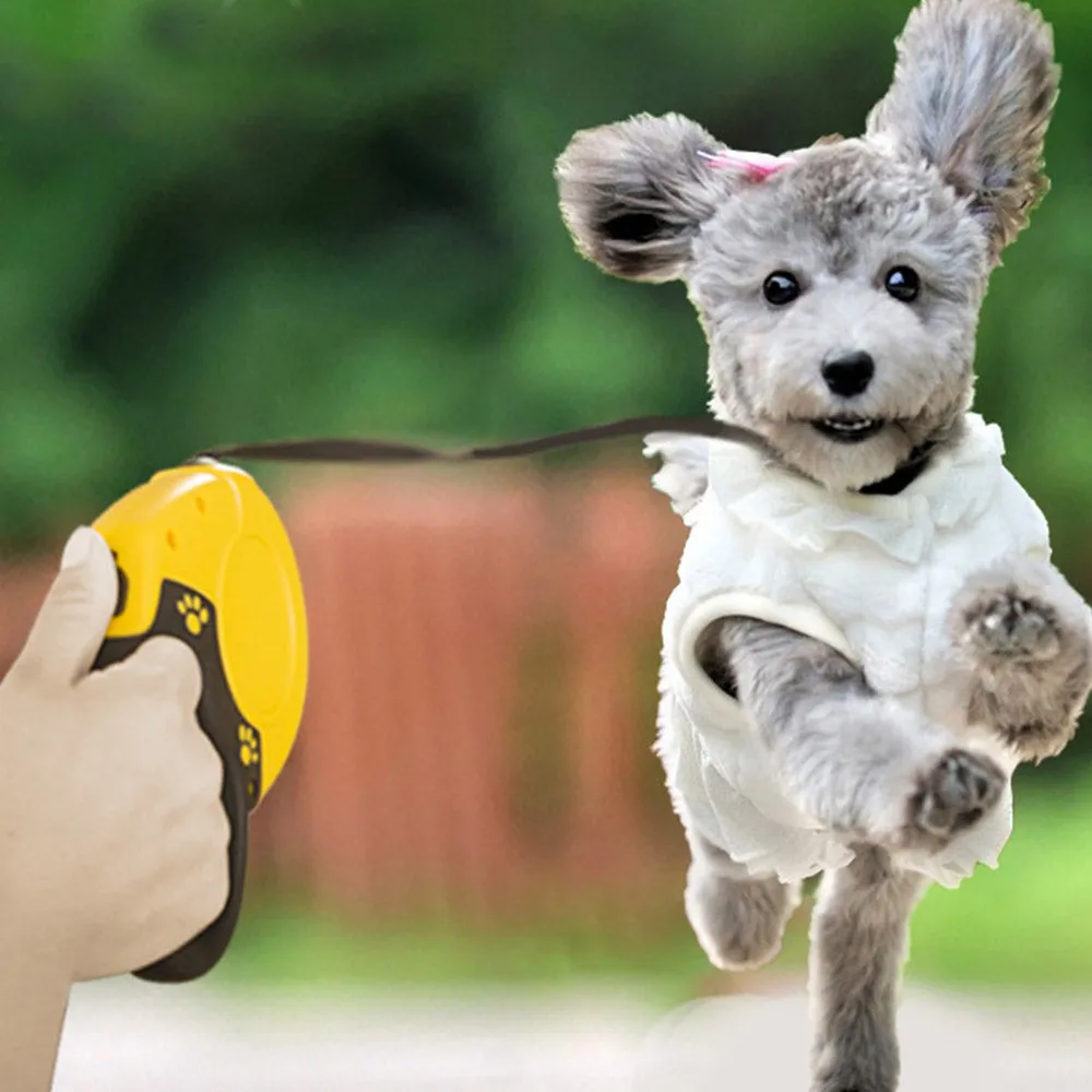 PAWS ASIA Wholesale Customized Private Label Automatic Large Dog Retractable Leash Pet Running