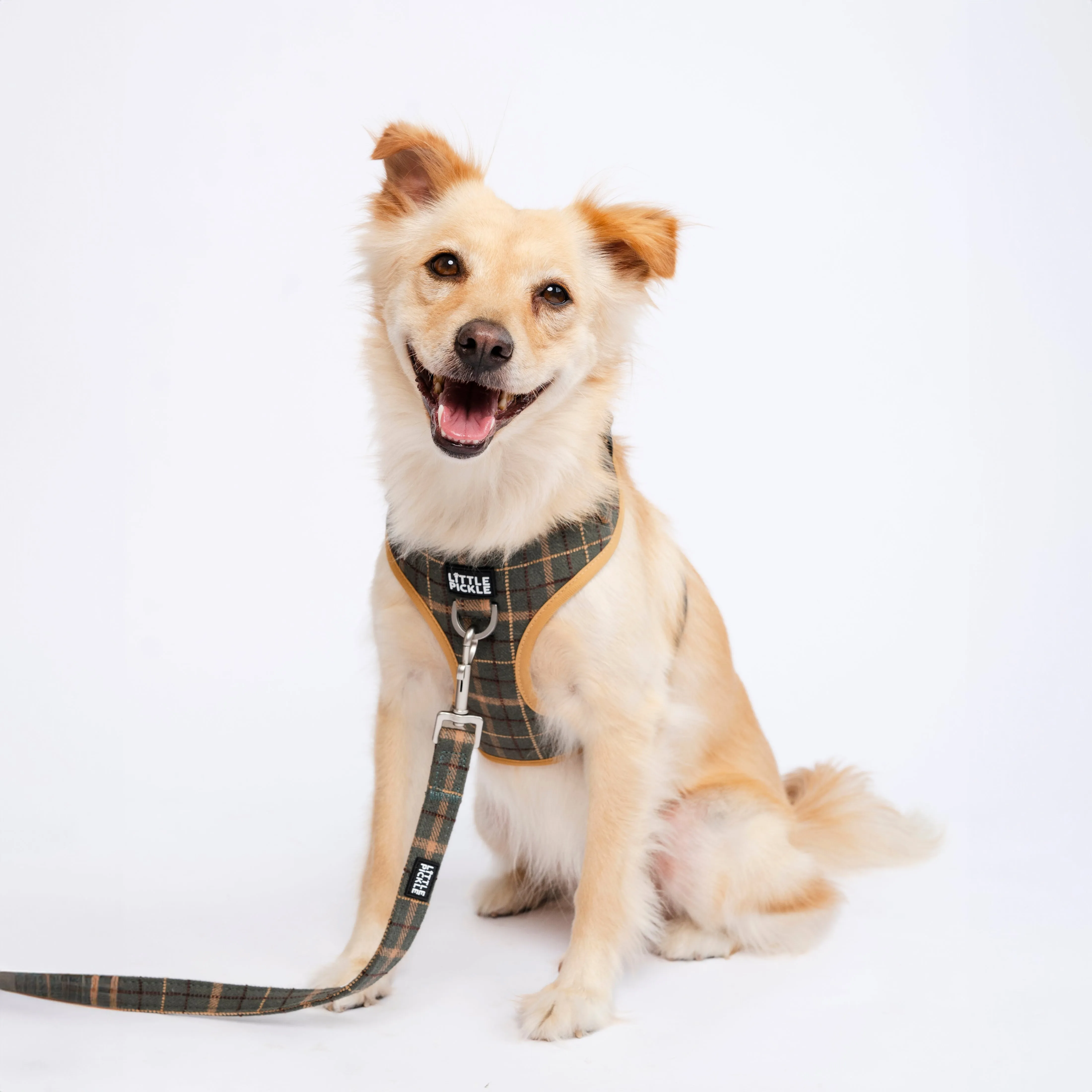 Pemble Adjustable Harness in Forest Green Plaid