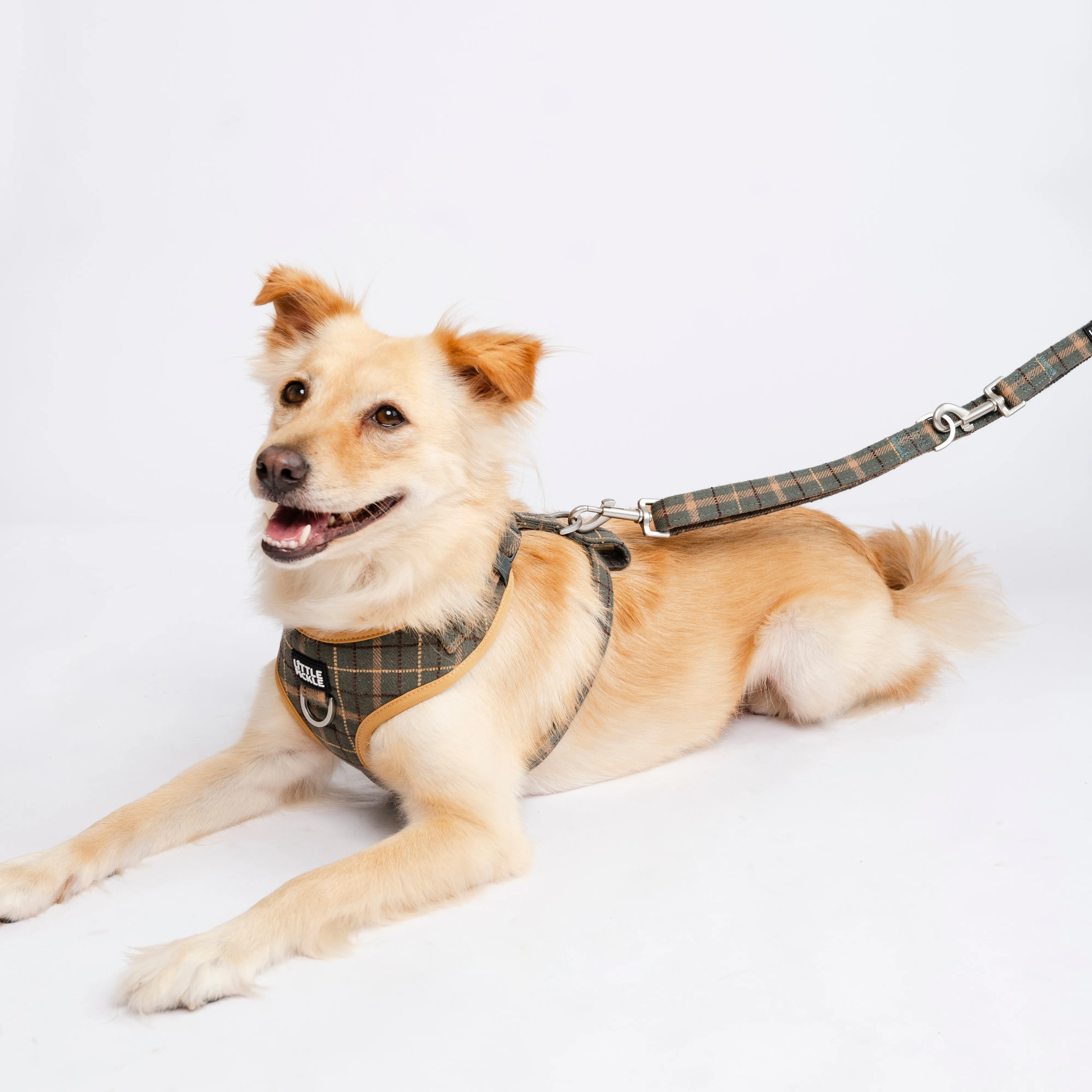 Pemble Adjustable Harness in Forest Green Plaid