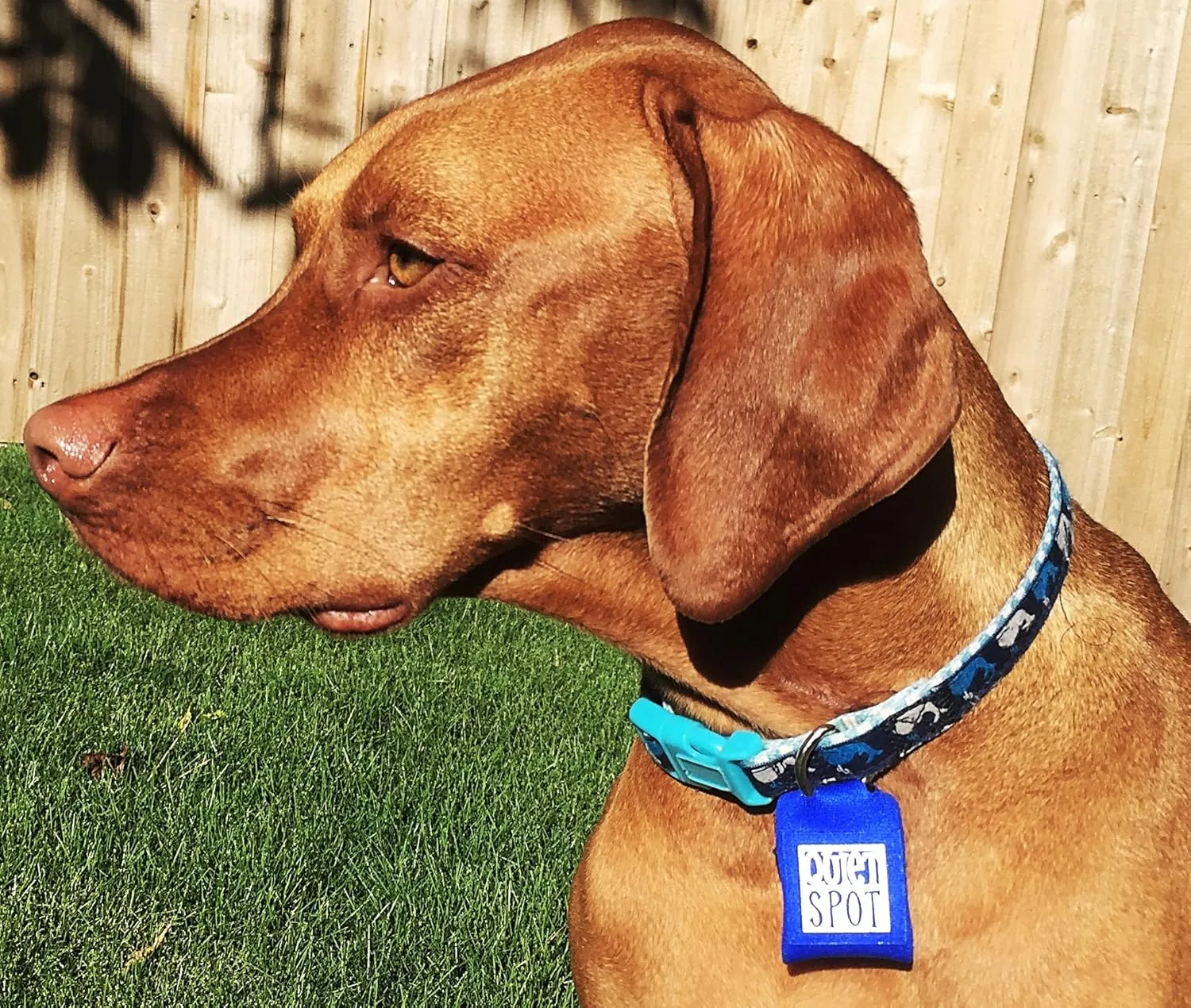 Pet Tag Silencer (Red)
