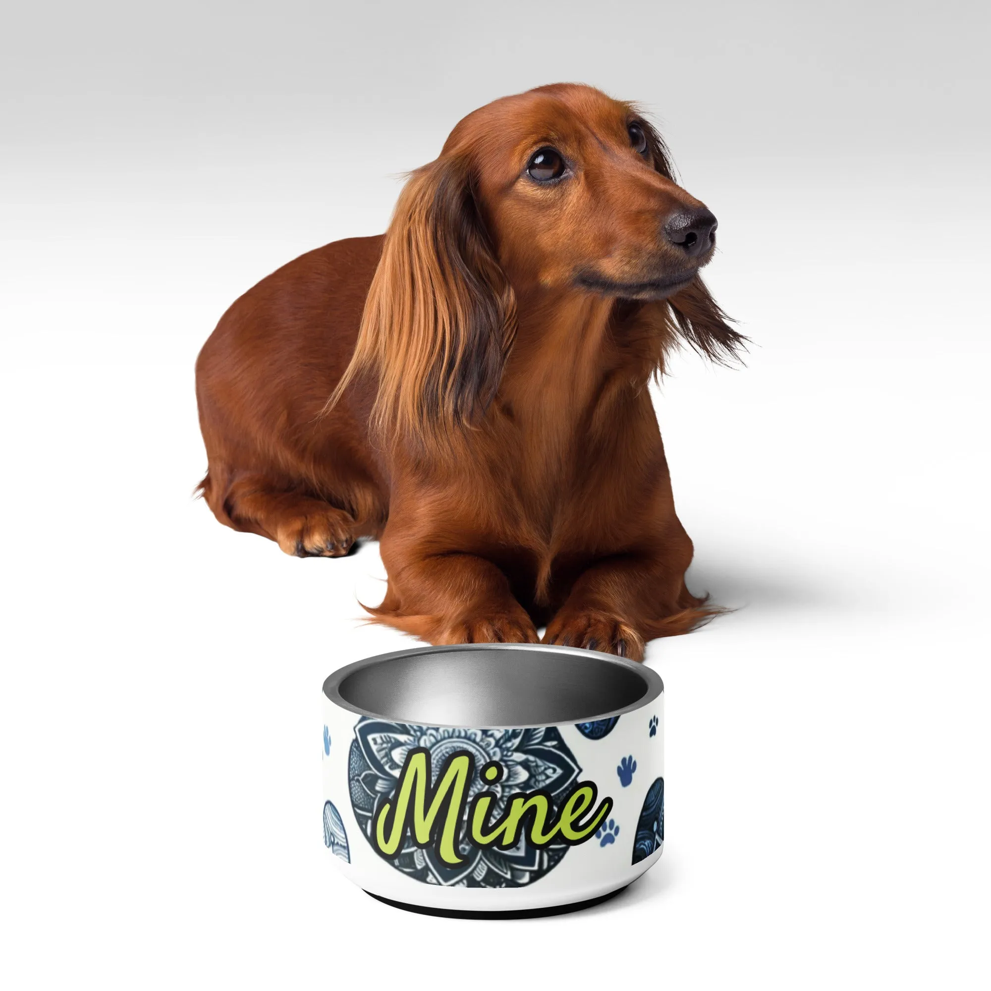 "Mandala Paws" Pet bowl