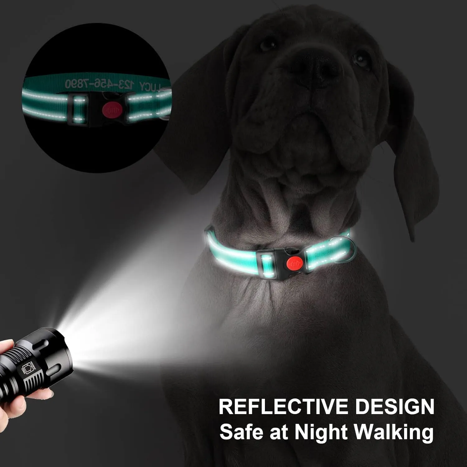 Reflective Personalized Dog Collars - Custom Embroidered Dog Collars for Small, Medium, Large Dogs- Adjustable Dog & Puppy Collar - Heavy Duty D-Ring for Leash & ID Tag