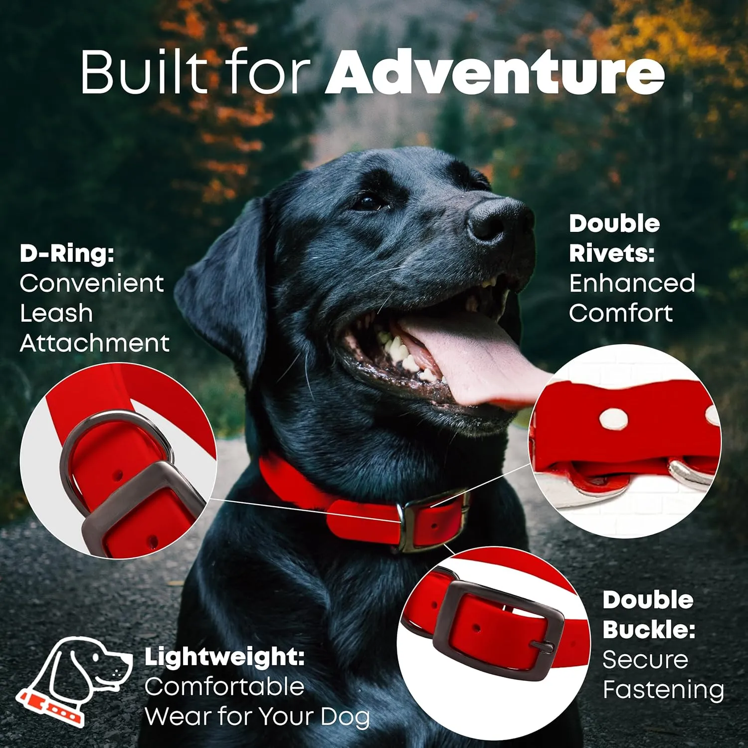 Regal Dog Products Large Red Waterproof Dog Collar and Leash Set - Vinyl Coated Biothane Pet Training Collar with Heavy Duty Center Ring & 5'ft Leash - Other Sizes for Puppy, Small & Medium Dogs