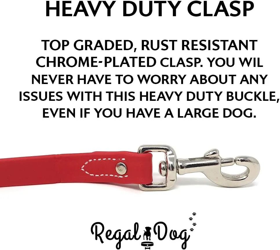 Regal Dog Products Large Red Waterproof Dog Collar and Leash Set - Vinyl Coated Biothane Pet Training Collar with Heavy Duty Center Ring & 5'ft Leash - Other Sizes for Puppy, Small & Medium Dogs