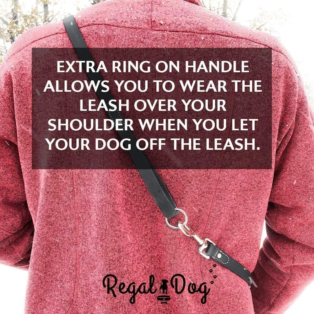 Regal Dog Products Large Red Waterproof Dog Collar and Leash Set - Vinyl Coated Biothane Pet Training Collar with Heavy Duty Center Ring & 5'ft Leash - Other Sizes for Puppy, Small & Medium Dogs