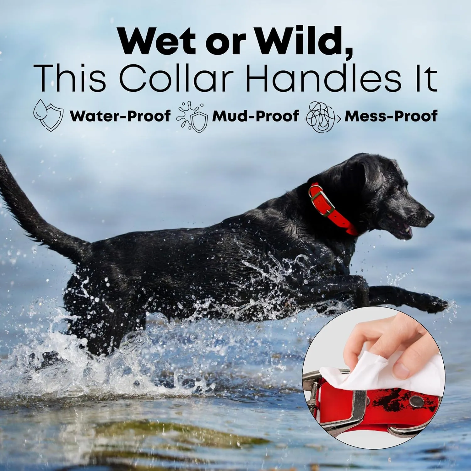 Regal Dog Products Large Red Waterproof Dog Collar and Leash Set - Vinyl Coated Biothane Pet Training Collar with Heavy Duty Center Ring & 5'ft Leash - Other Sizes for Puppy, Small & Medium Dogs