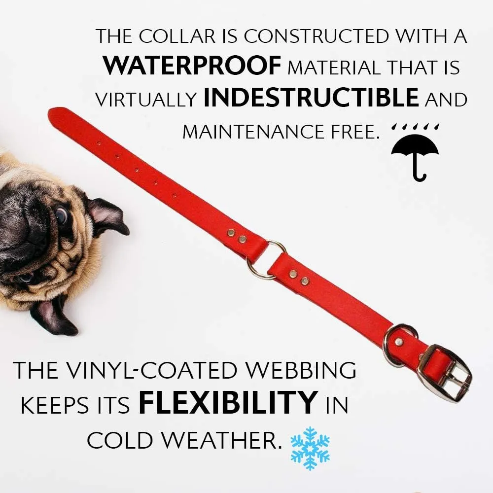 Regal Dog Products Large Red Waterproof Dog Collar and Leash Set - Vinyl Coated Biothane Pet Training Collar with Heavy Duty Center Ring & 5'ft Leash - Other Sizes for Puppy, Small & Medium Dogs