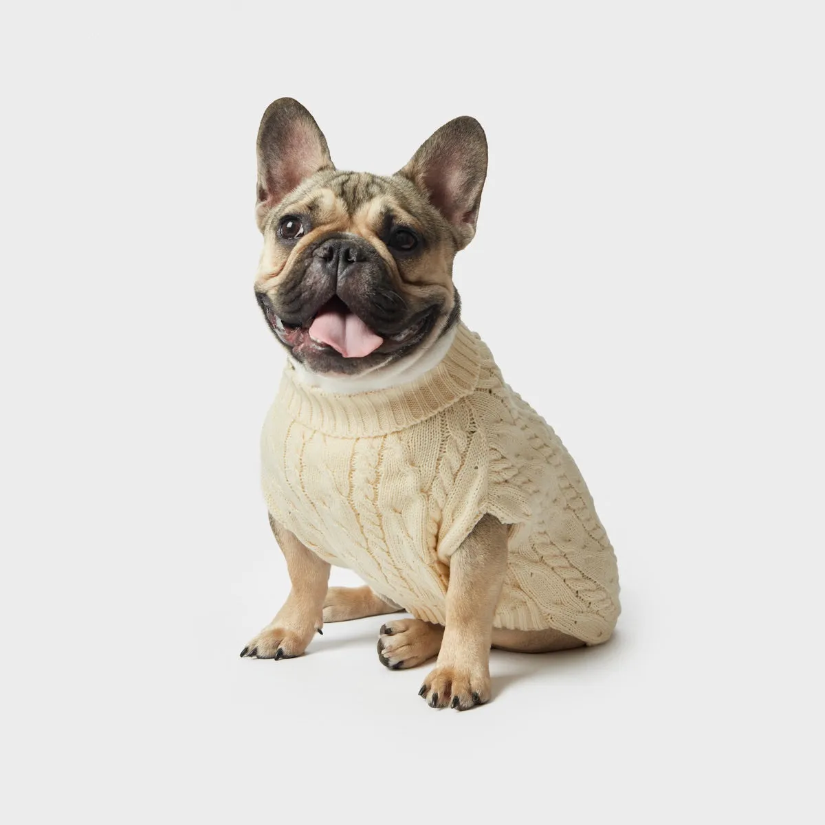 Shinola Knit Sweater | Ivory