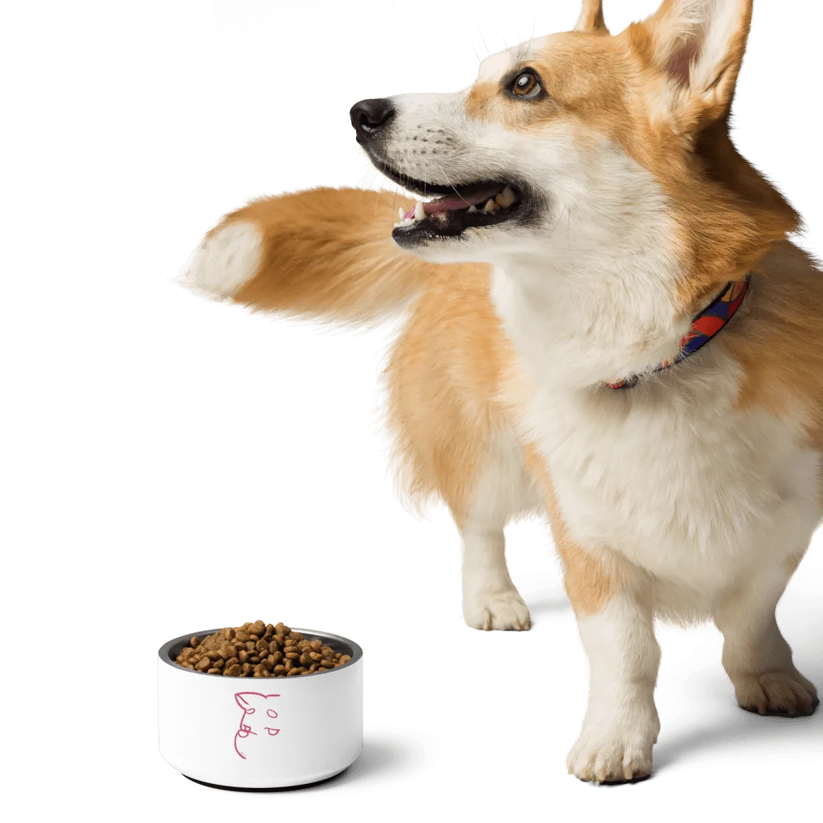 Simply Barker Dog Bowl