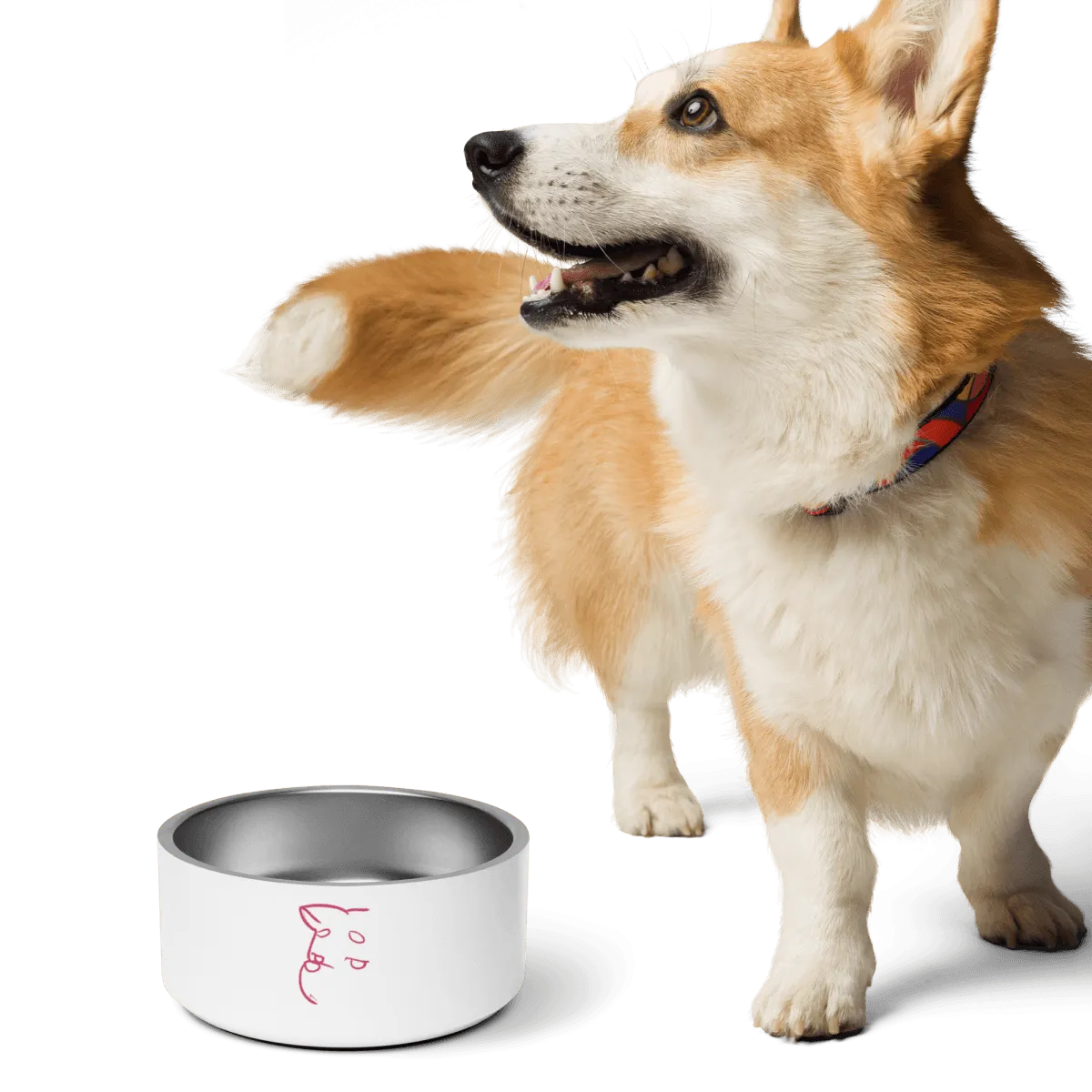 Simply Barker Dog Bowl
