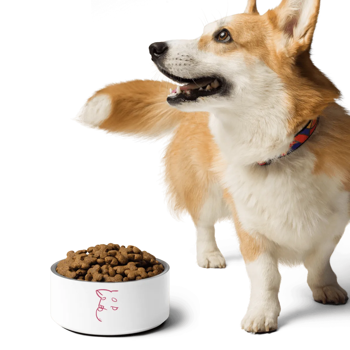 Simply Barker Dog Bowl