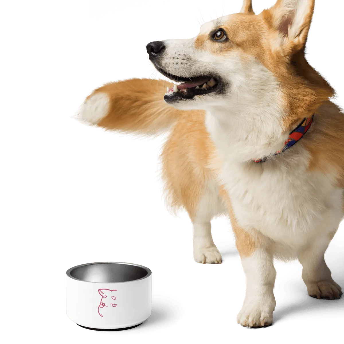 Simply Barker Dog Bowl
