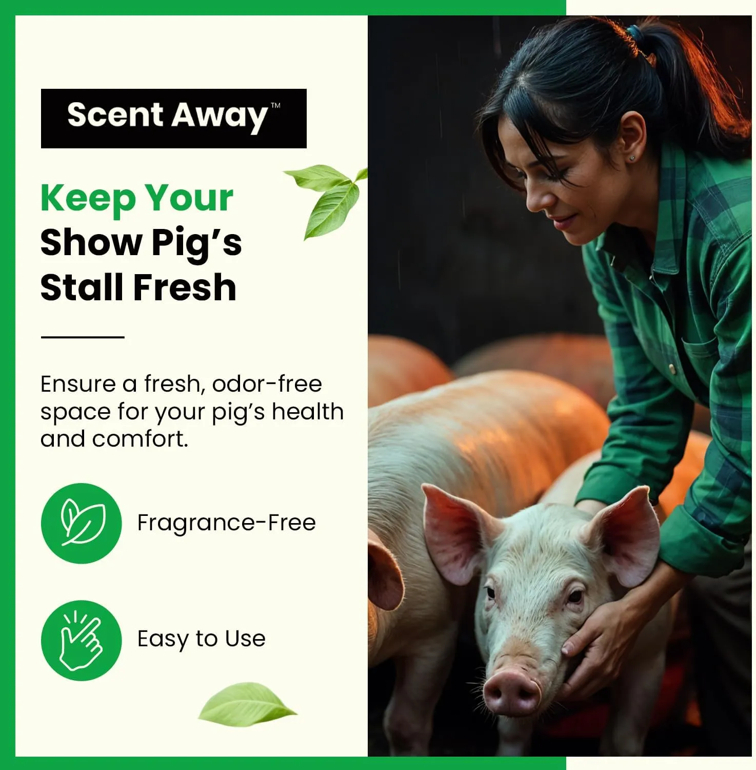 Swine Stall Deodorizer | 100% Natural Odor Neutralizer | Fragrance-Free Moisture Absorber | Non-Toxic Active Carbon & Zeolite Odor Control | 25lbs. (11.34kg)