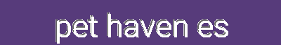 Pet Haven Essentials | New Product Preferential, Low-Price Rush-Buying, Full-Reduction Carnival & Super-Value Package
